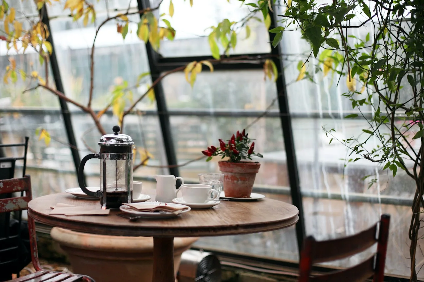 Coffee press and cup on a round table beside plants